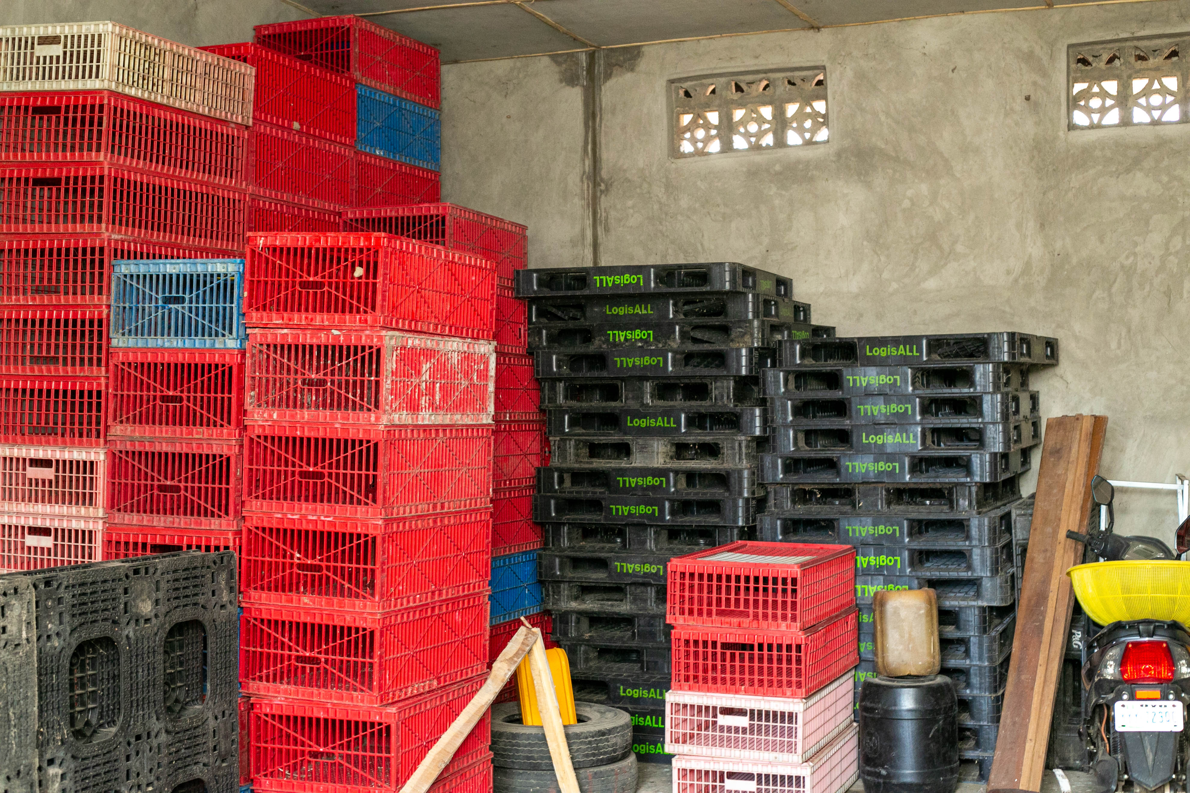 Building the Next Generation of Poultry Farmers Through Training